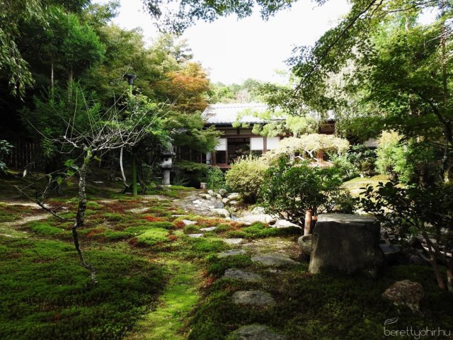 Egy álom valóra vált - Seba Japánban 33